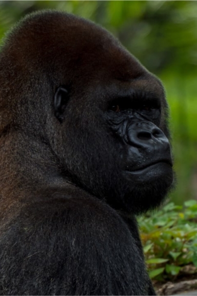 IntoAfrica-Experiencias-Categorias-Lugares-Intocados-min