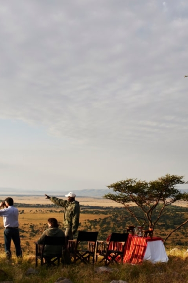 IntoAfrica-Experiencias-Categorias-Safari-min